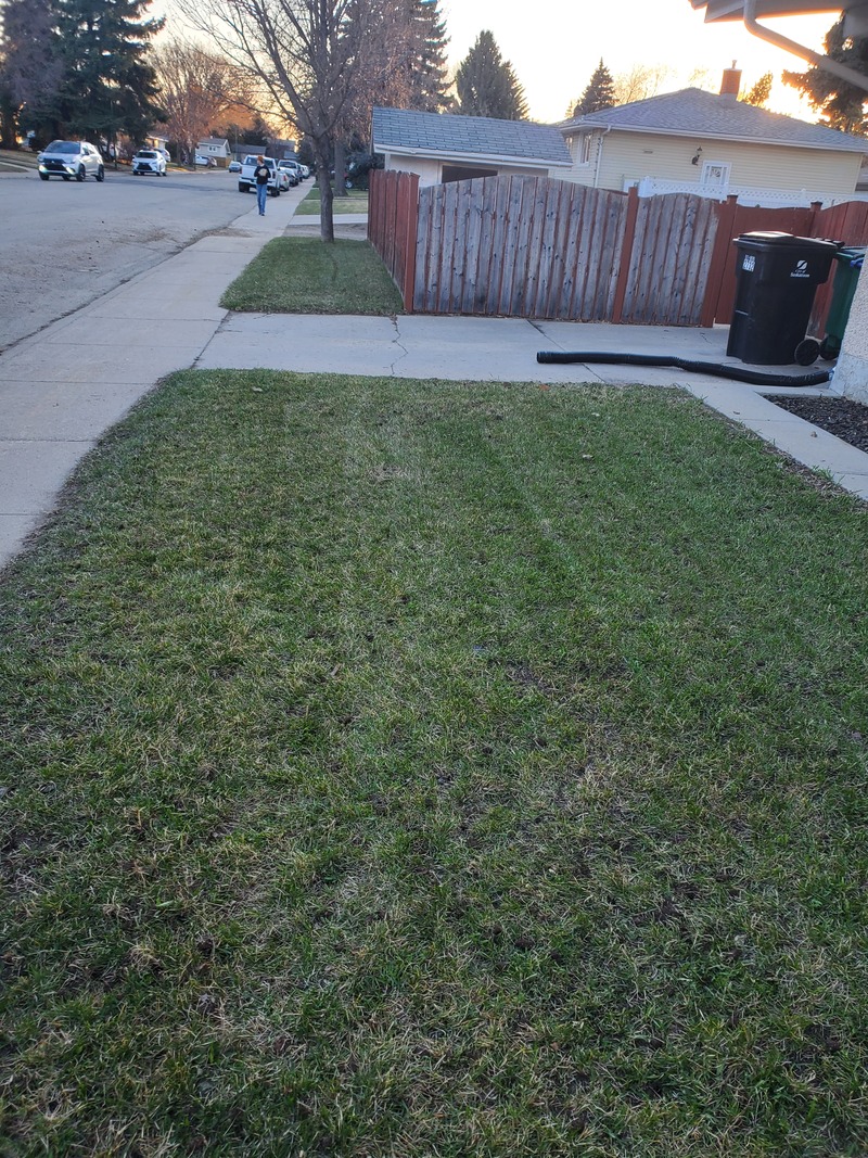 Spring Refresh. Dethatching, Aeration. Saskatoon.