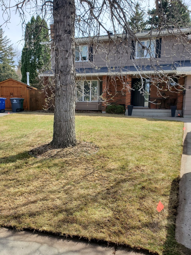 Spring Refresh. Dethatching, Aeration. Edging. Saskatoon.