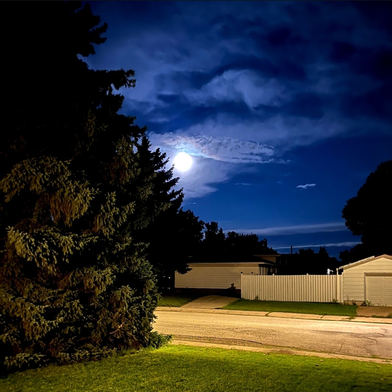 Lawn Mowing Moose Jaw