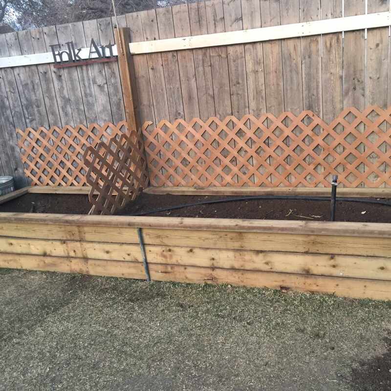 Raised Garden Bed Built, Installed, and Planted in Moose Jaw