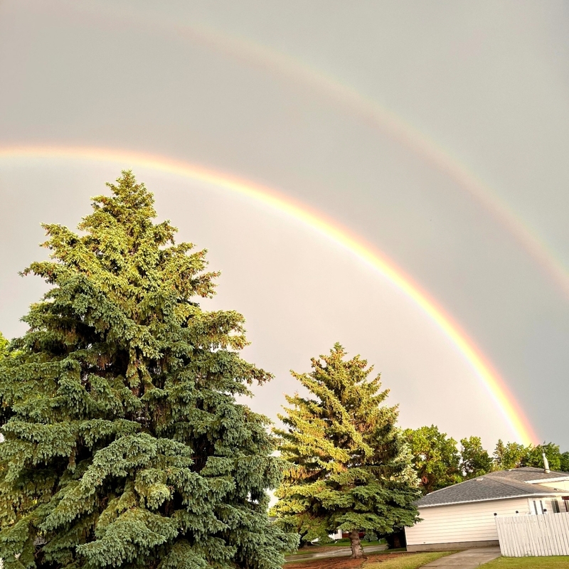 Lawn Mowing Moose Jaw